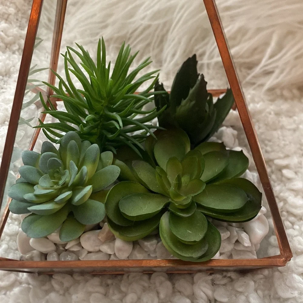 New succulent glass dome decor